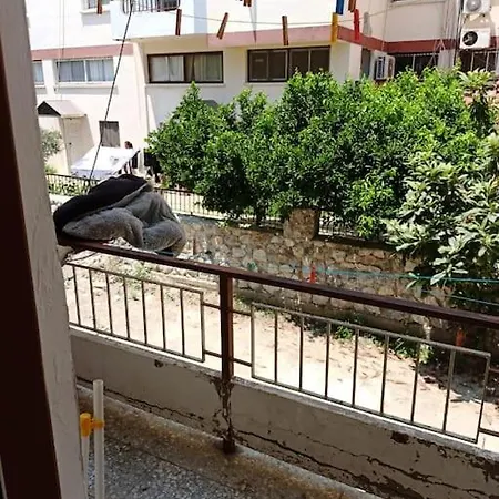 Merkez. Her Yere Yakin Daire Girne